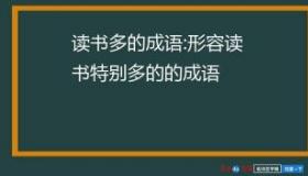 表示读书多的成语：探寻那些形容学识渊博的经典词汇