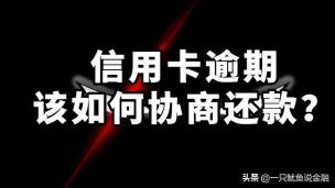 如何用信用卡赚钱：巧妙利用信用卡功能，增加日常收入