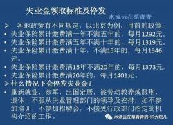 失业险领取条件详解：缴纳时间、失业原因及劳动保障部门要求