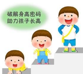 初中生长高方法：科学助力孩子身高发育新秘籍