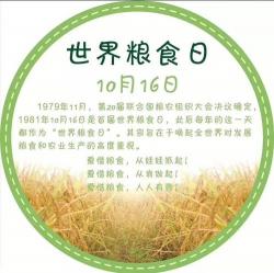 我得到了启示：珍惜每一粒粮食，感恩农民的辛勤付出