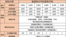 保险公司如何查十年前病史：投保健康险的注意事项