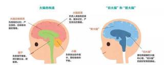 八个动作看宝宝脑瘫图：简易测试帮你初步识别风险