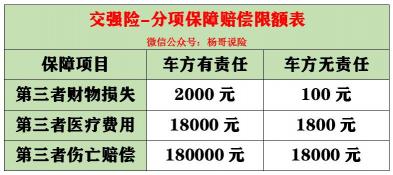 2021交强险查询方法大揭秘，轻松掌握你的保险信息