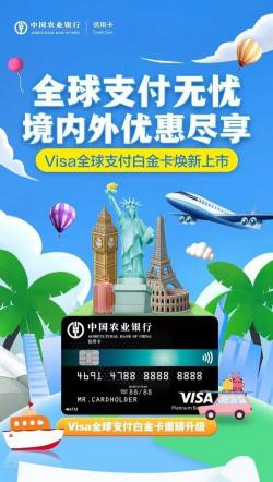 Visa卡：全球支付的领导者及其不同类型