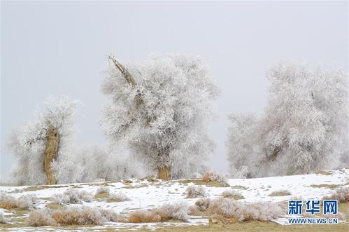 赞美雪的句子：雪的纯净之美与冬日赞歌