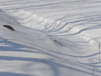 穿越南秦雪：元稹蜀道行的心路历程