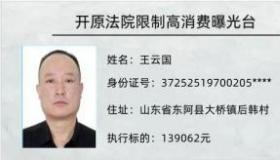 限高人员名单查询系统使用指南：如何快速查询被执行人信息