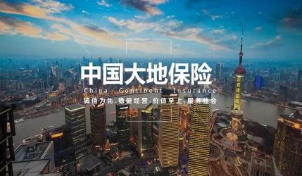 大地保险口碑好不好？深入了解这家公司的优势与产品