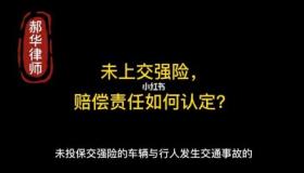 未投保交强险上路是否扣12分？了解相关处罚与规定