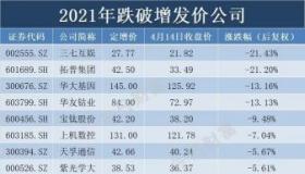 股票增发解析：种类、发行价与市场影响