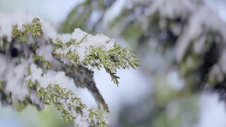 大雪纷飞：古人笔下的诗意世界