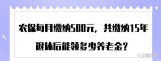 新农保交3000，退休每月领多少？——地区差异与影响因素解析