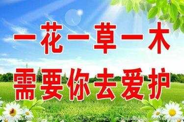 环保行动，从我做起：精选环保广告语大全