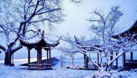 冬日赞歌：经典诗句描绘雪中美景