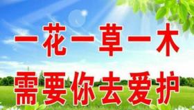 环保行动，从我做起：精选环保广告语大全