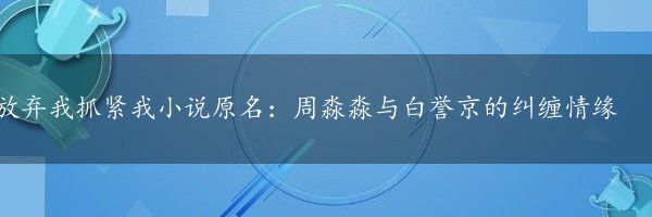 放弃我抓紧我小说原名：周淼淼与白誉京的纠缠情缘