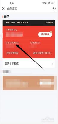 存入100元开启白条额度：了解东小金库与白条开通的关系