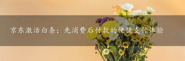 京东激活白条：先消费后付款的便捷支付体验