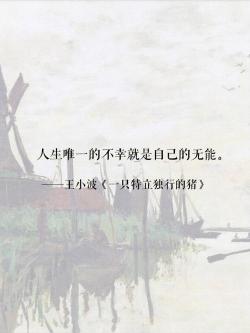 王小波经典名句：生活智慧与人生感悟的璀璨瑰宝