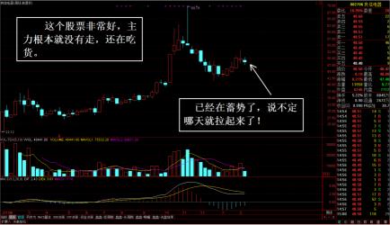 理解委差：股市交易中的关键指标及其运用