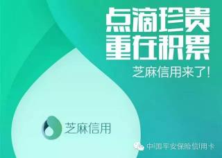 如何有效提高芝麻信用分：实用策略与技巧