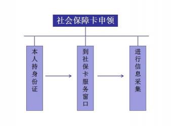 社保一卡通办理指南：材料、流程及激活方法详解