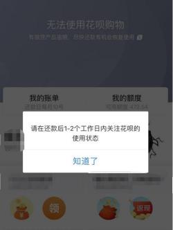 花呗无法使用？恢复时间取决于系统评估