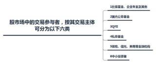 R在股市中的含义解析：标识、交易与投资策略的关联