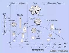 霜是怎么形成的：探秘寒冷季节的冰霜奇迹