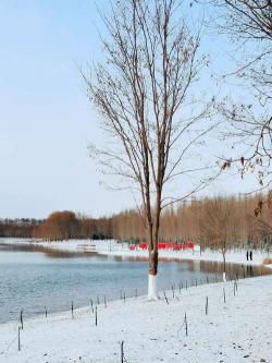 恋雪情怀：冬日童话，醉美雪景惹人爱