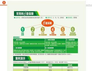 华夏保险常青树：全面解析与选购指南