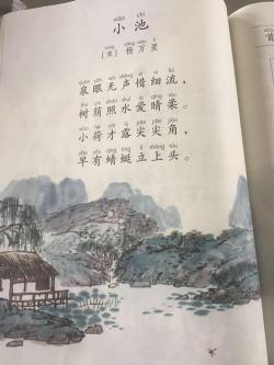 小池的作者：杨万里笔下的自然之美与生命之趣