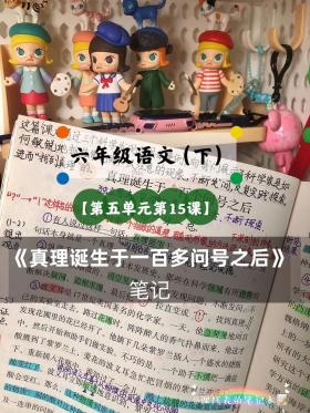 《真理诞生于一百个问号之后》教学反思：探索真理的旅程与教学的艺术