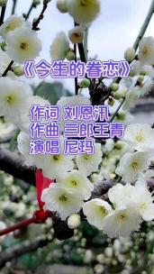 我们很好：林峰深情演绎，歌曲背后的故事与情感解读