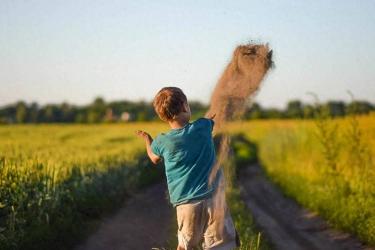 完好无损：从孩子的纯真到现实的考验