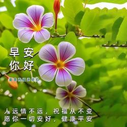 心形福字剪纸步骤图解：传统艺术与幸福祝愿的完美结合