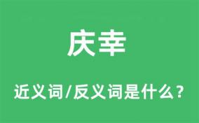 惋惜的近义词：惘然、怅然与怅惘的情感探索