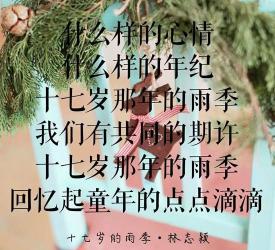 那个男孩：一首充满青春情感的歌曲