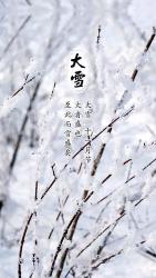 雪景描绘：从成语中感受冬日的诗意与奥秘