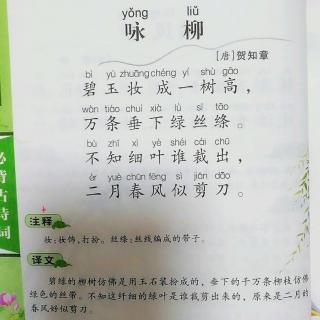 古诗《咏柳》全诗赏析：早春杨柳的绝美颂歌