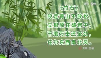 赞美竹子的古诗：青翠挺拔，寓意深远