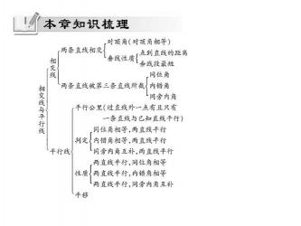 数学7年级下册知识点梳理：相交线与平行线、坐标与平移