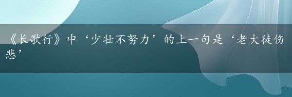 《长歌行》中‘少壮不努力’的上一句是‘老大徒伤悲’