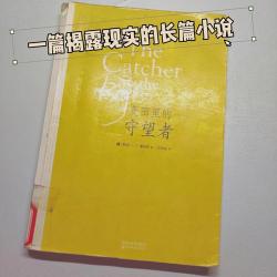 《麦田里的守望者》书评：一部关于成长、梦想与责任的经典之作