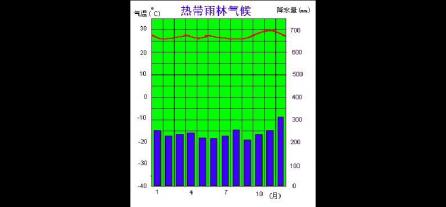 全年高温多雨：热带雨林气候的独特特征