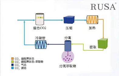 萃取法：分离技术的科学应用